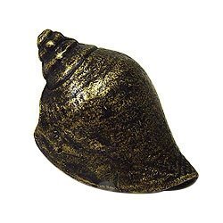 Emenee Voluntidae Conch Knob in Antique Matte Brass