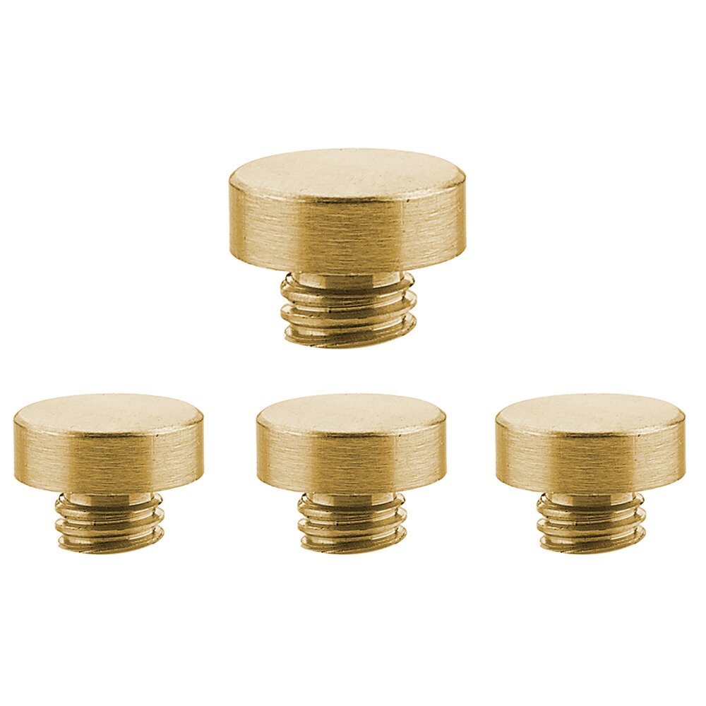 Emtek Button Tip Set for 4 1/2" or 5" Heavy Duty Plain or Ball Bearing Hinge in Satin Brass (Sold In Pairs)