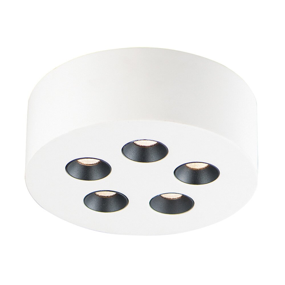 ET2 Lighting 5-Light LED Flush Mount in White