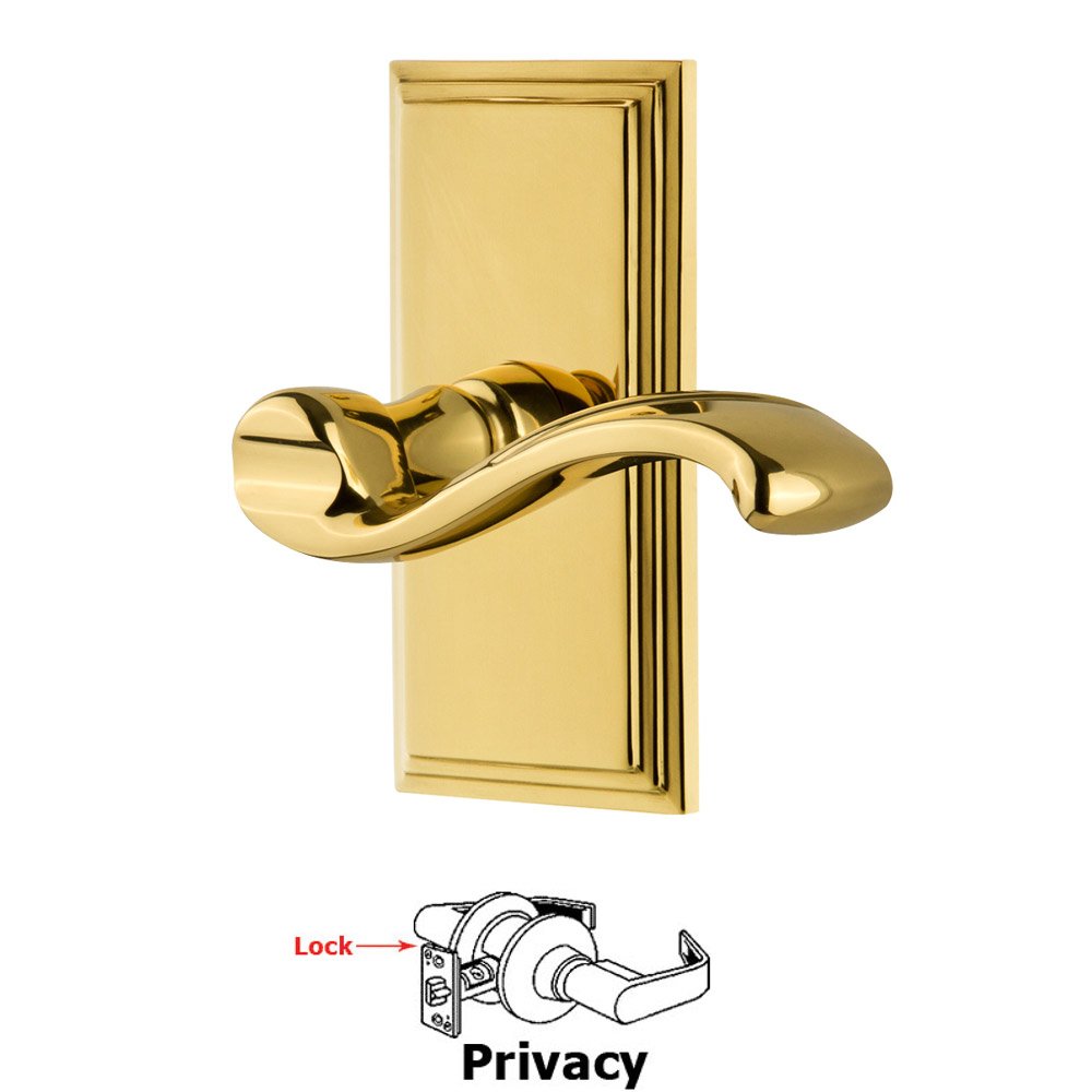 Grandeur Privacy Carre Plate with Portofino Left Handed Lever in Polished Brass