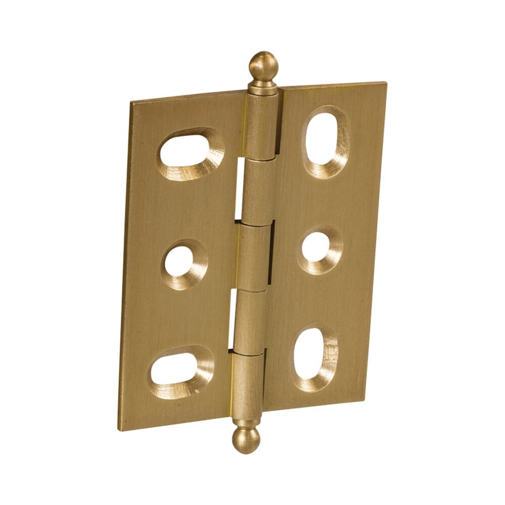 Hafele Mortised Decorative Butt Hinge with Ball Finial in Brushed Brass