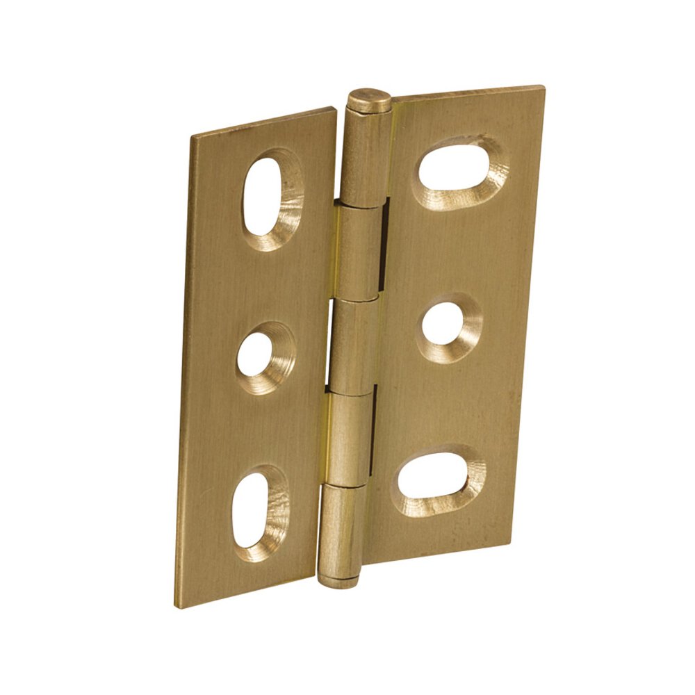 Hafele Mortised Decorative Butt Hinge with Button Finial in Brushed Brass