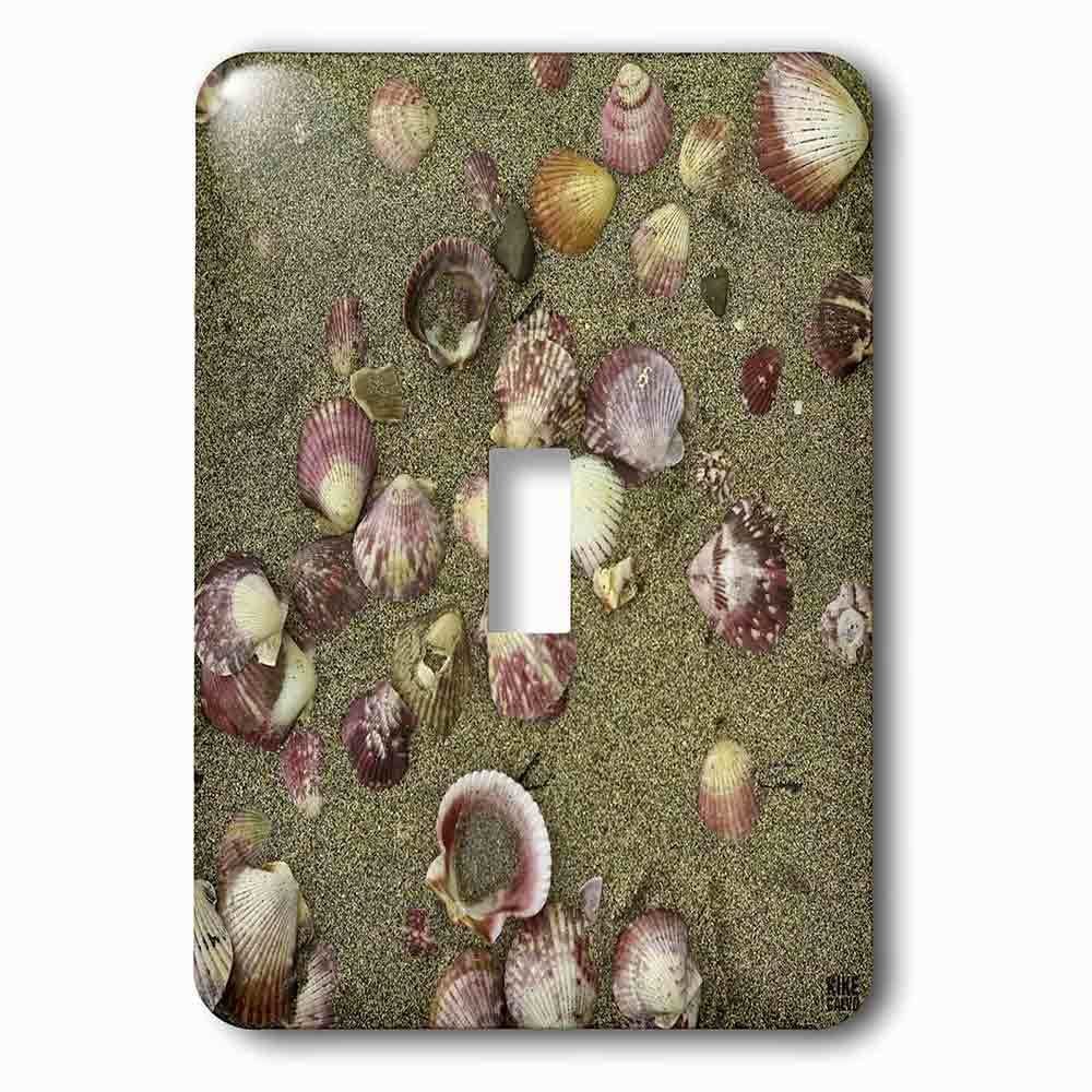 Jazzy Wallplates Single Toggle Wallplate With Sea Shells On The Sand