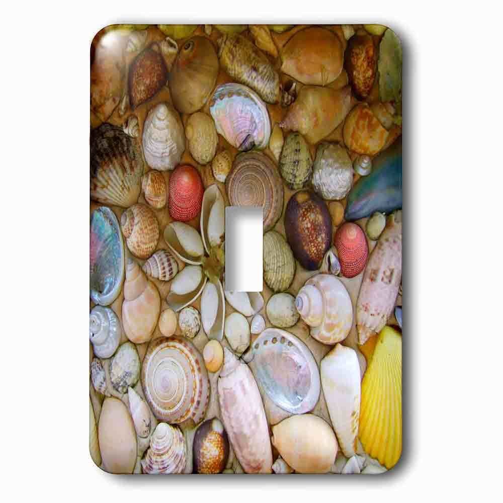 Jazzy Wallplates Single Toggle Wallplate With Seashells Photography Colorful Sea Shells Pattern Sea Ocean Seaside Nautical Beach Feel Decor