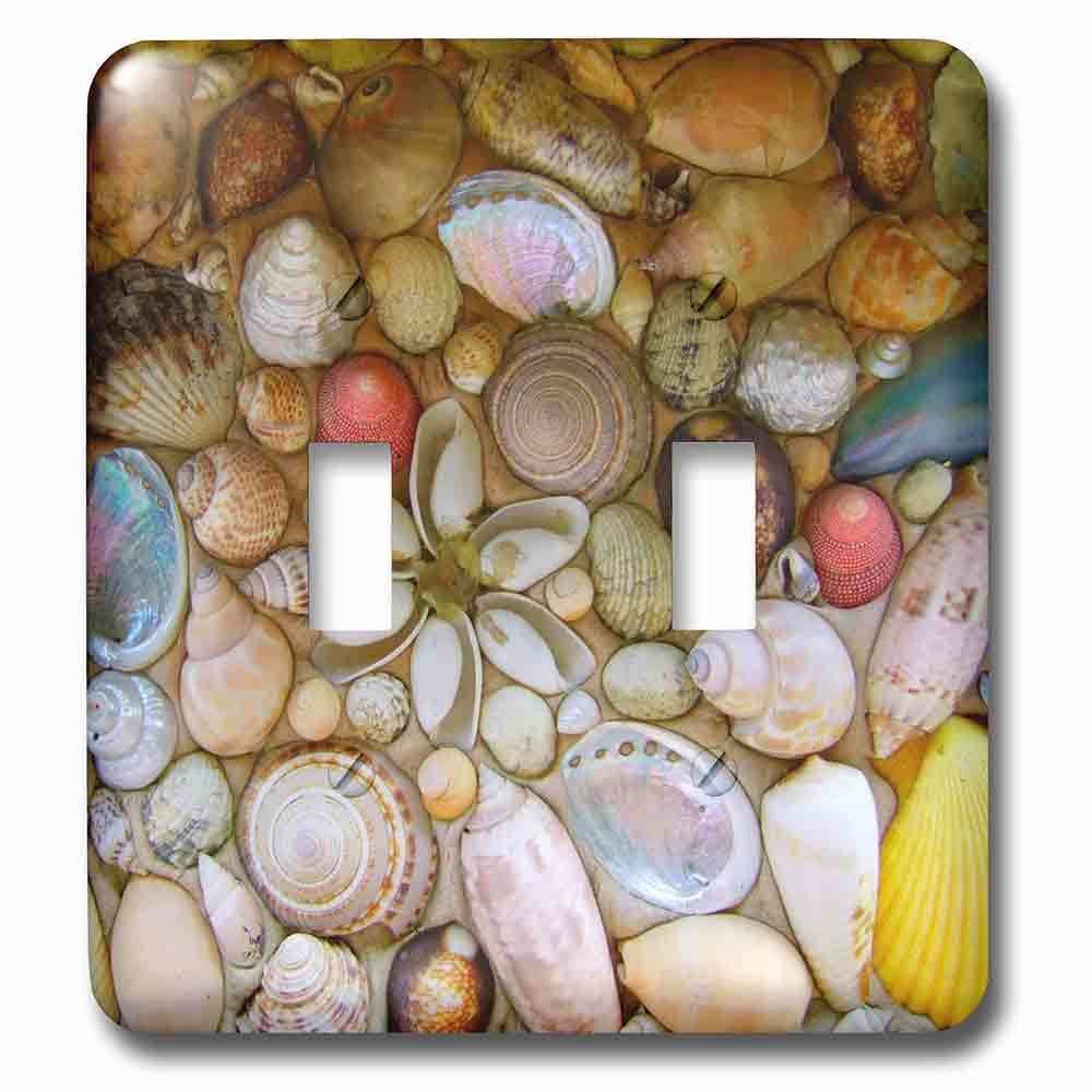 Jazzy Wallplates Double Toggle Wallplate With Seashells Photography Colorful Sea Shells Pattern Sea Ocean Seaside Nautical Beach Feel Decor