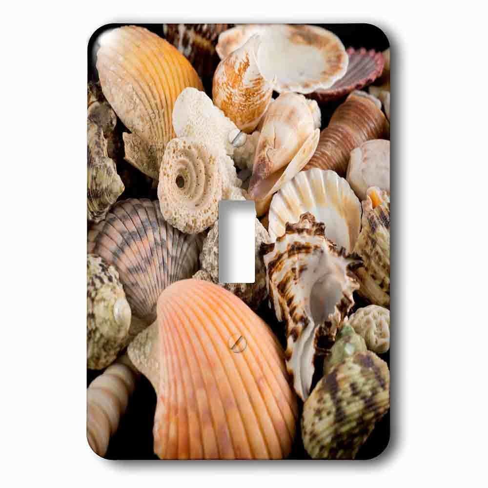 Jazzy Wallplates Single Toggle Wallplate With Detail Of Seashells From Around The World.