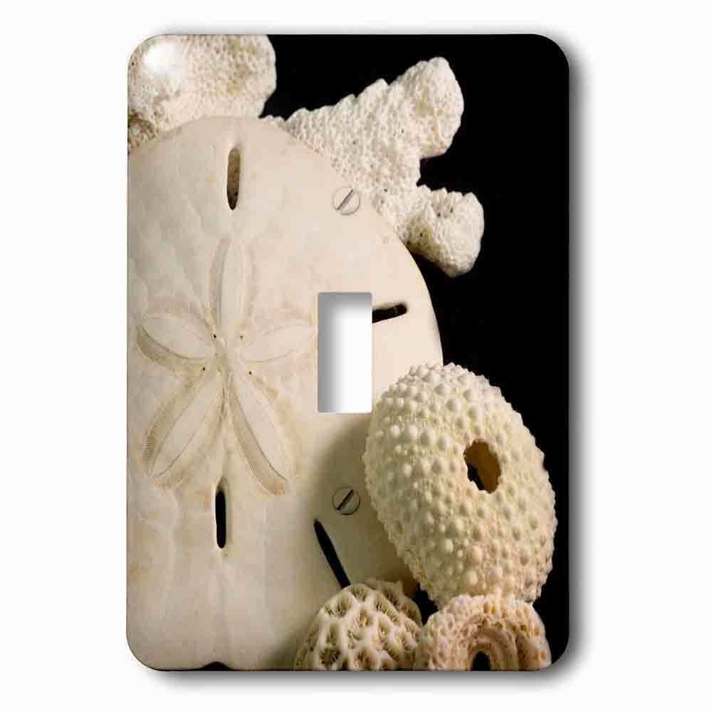 Jazzy Wallplates Single Toggle Wallplate With White Seashells, Sand Dollar, And Coral From Around The World.