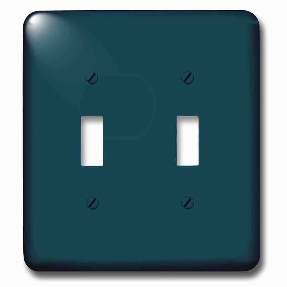 Jazzy Wallplates Double Toggle Wallplate With Image Of Winter Slate Solid Color