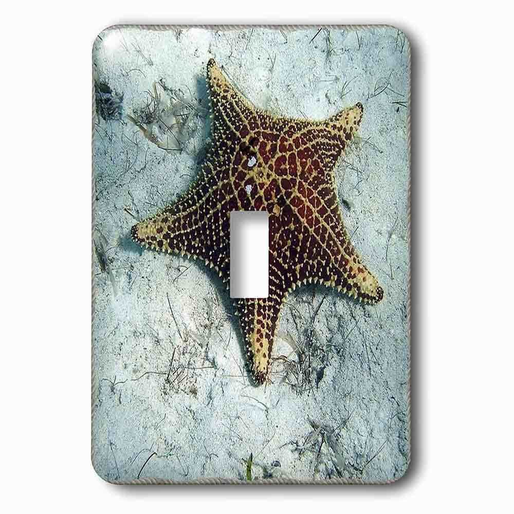 Jazzy Wallplates Single Toggle Wallplate With Underwater Starfish With Nautical Rope Frame