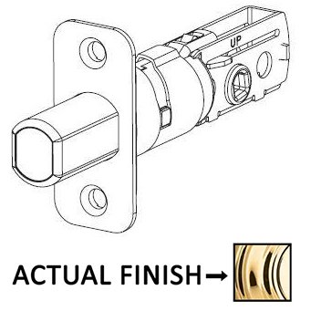 Kwikset Door Hardware Adjustable Radius Deadbolt Latch for 780 and 980 Series in Bright Brass