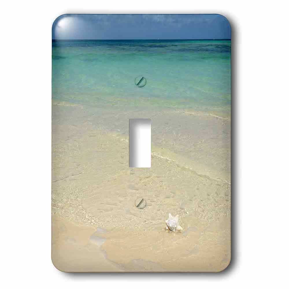 Jazzy Wallplates Single Toggle Wall Plate With Conch Shell On The Beach At Bones Bight