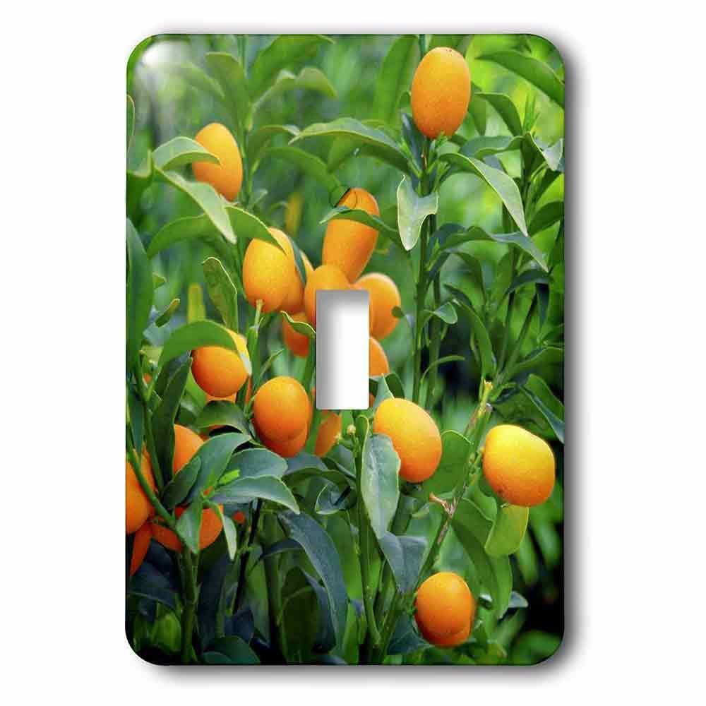Jazzy Wallplates Single Toggle Wallplate With Kumquat Fruit Tree