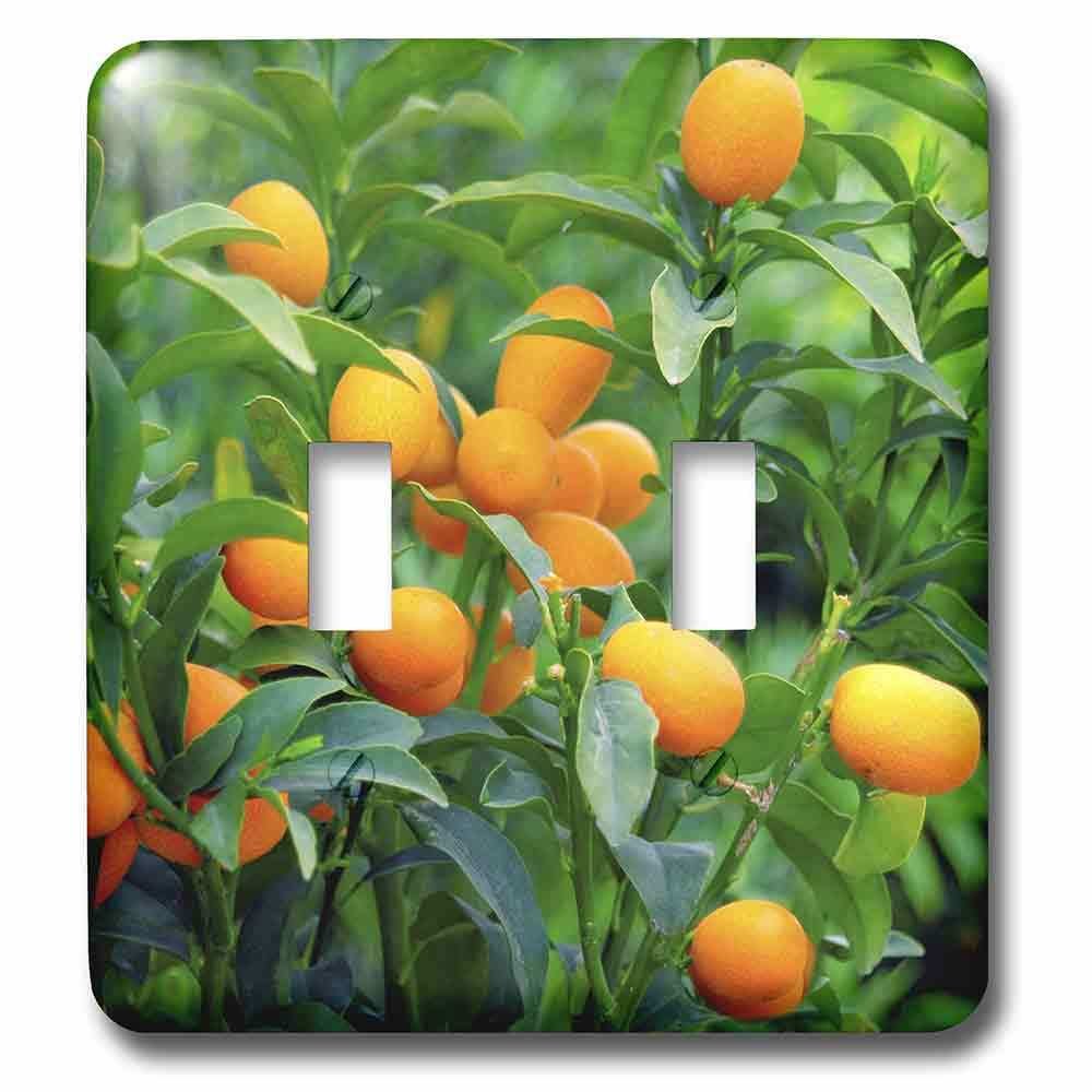 Jazzy Wallplates Double Toggle Wallplate With Kumquat Fruit Tree