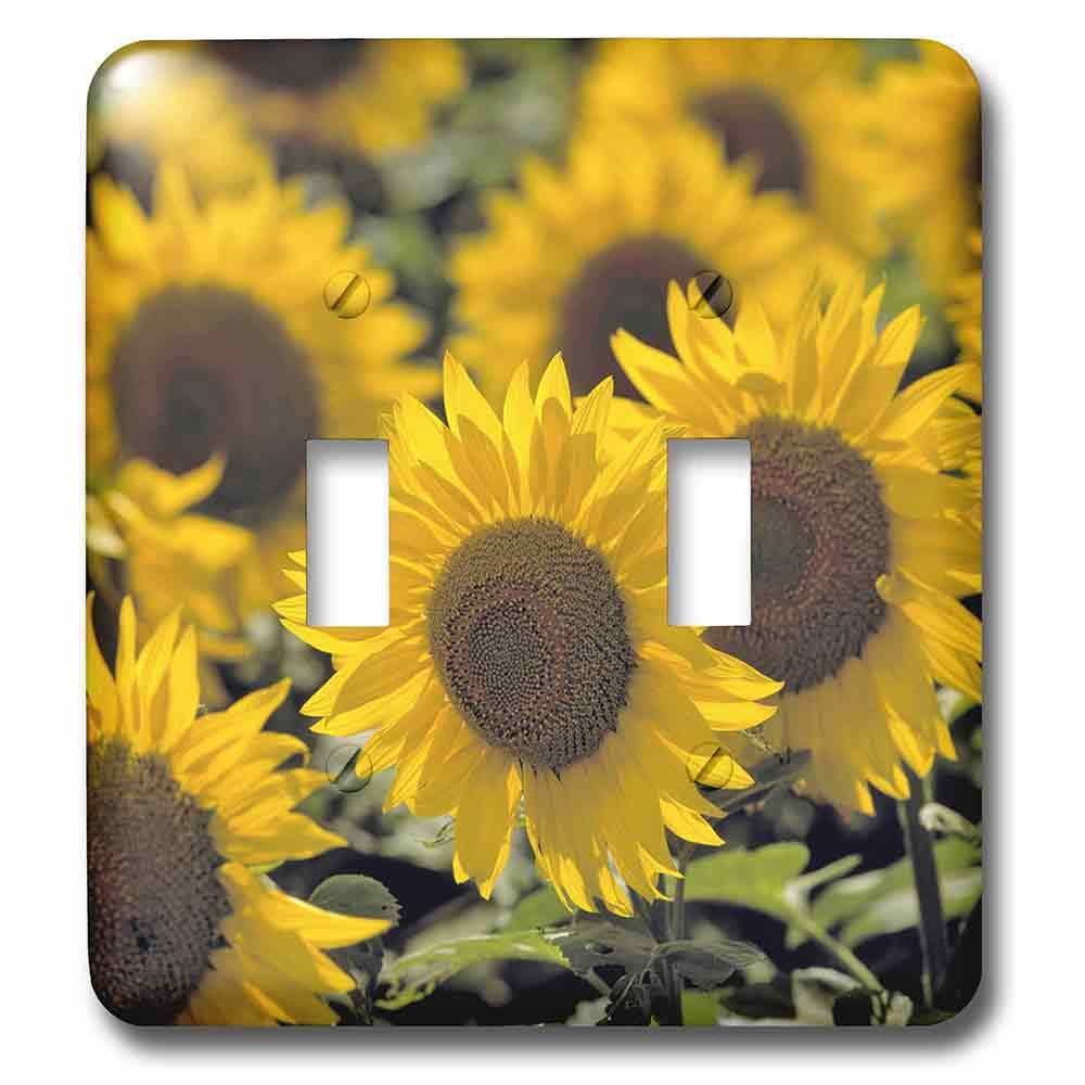Jazzy Wallplates Double Toggle Wallplate With Sunflowers In Cass County