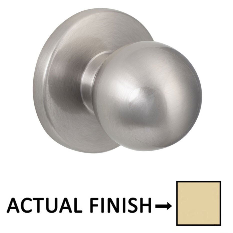 Sure-Loc Bi-Fold Door Pull In Polished Brass