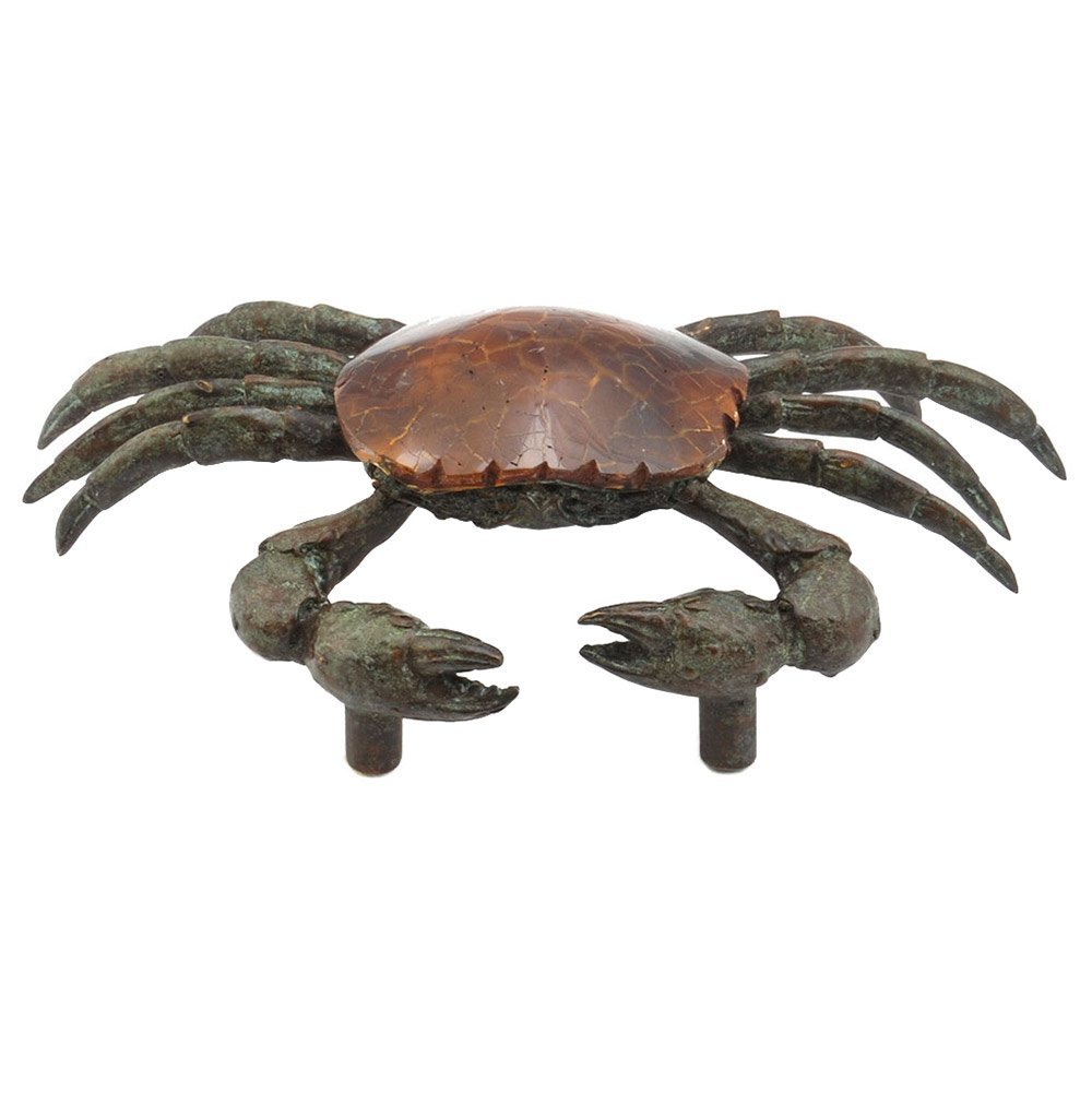 Schaub and Company Solid Brass Small Sea Crab 1 5/8" Centers Pull in Tiger Penshell