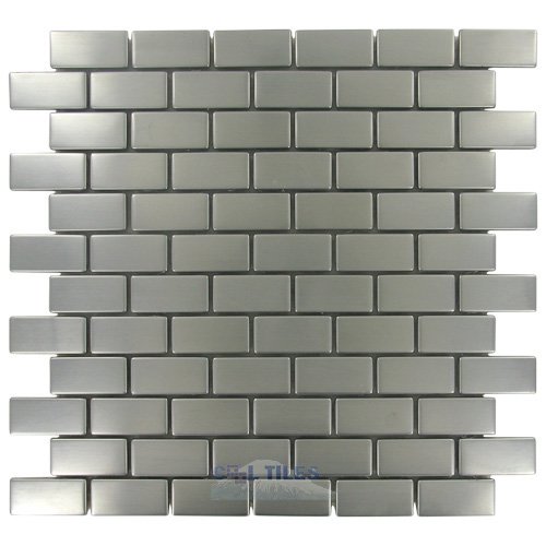 Illusion Glass Tile 1" x 2" Mosaic Tile in Brushed Stainless Steel