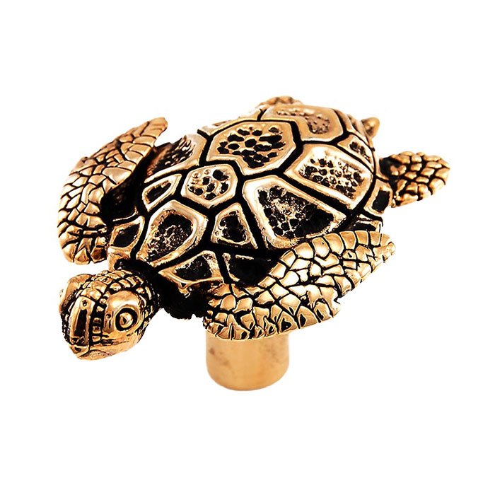 Vicenza Hardware Turtle Knob in Antique Gold