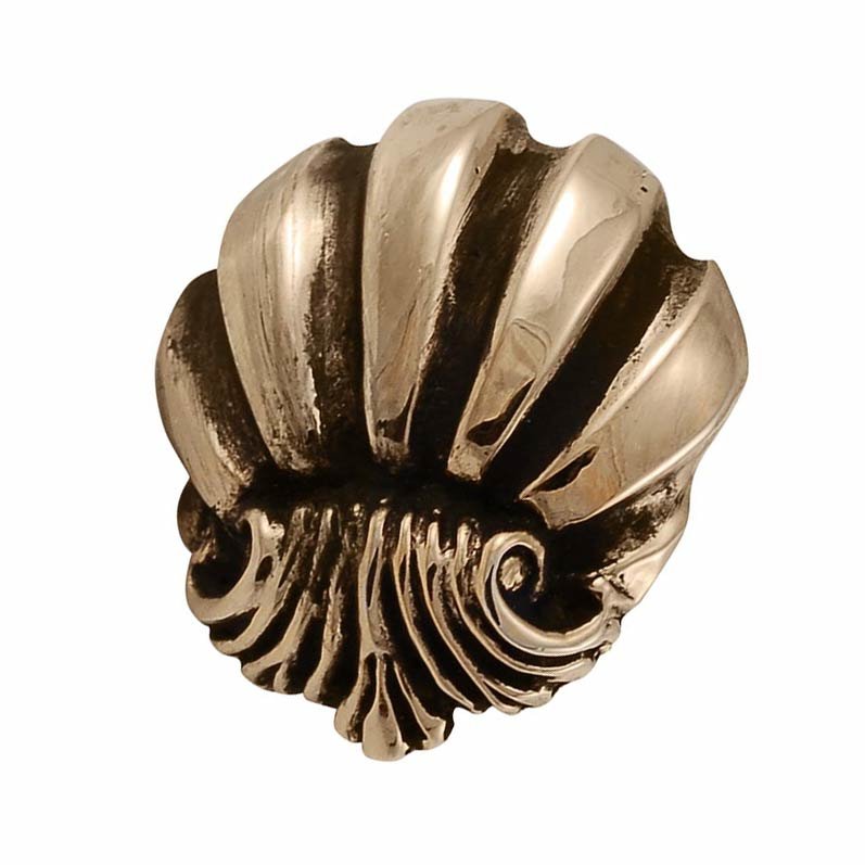 Vicenza Hardware Large Shell Design Knob in Antique Gold