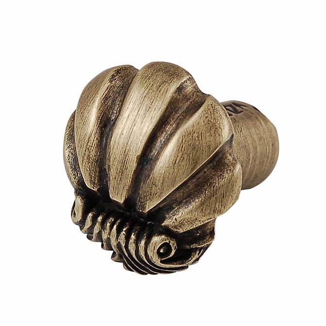 Vicenza Hardware Small Shell Design Knob in Antique Brass
