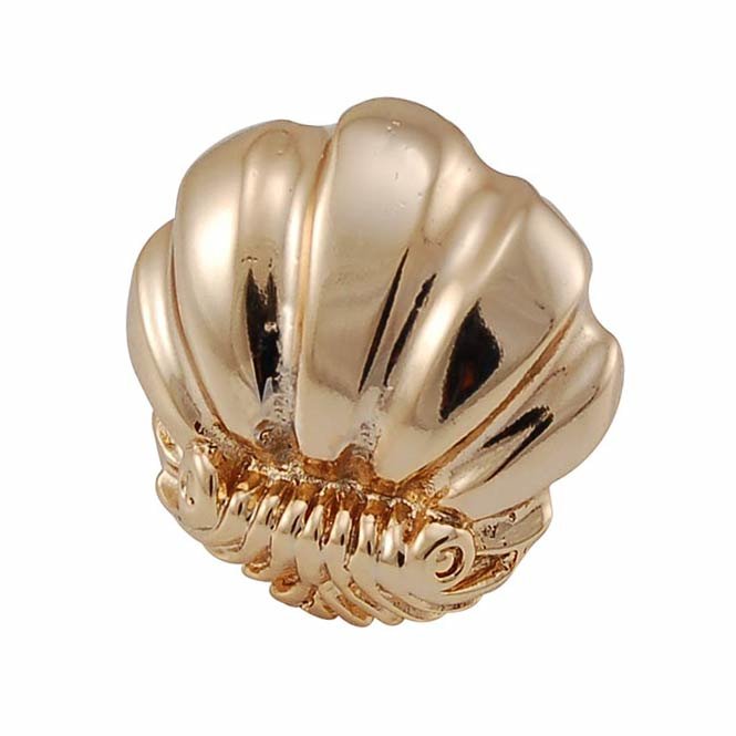 Vicenza Hardware Small Shell Design Knob in Polished Gold