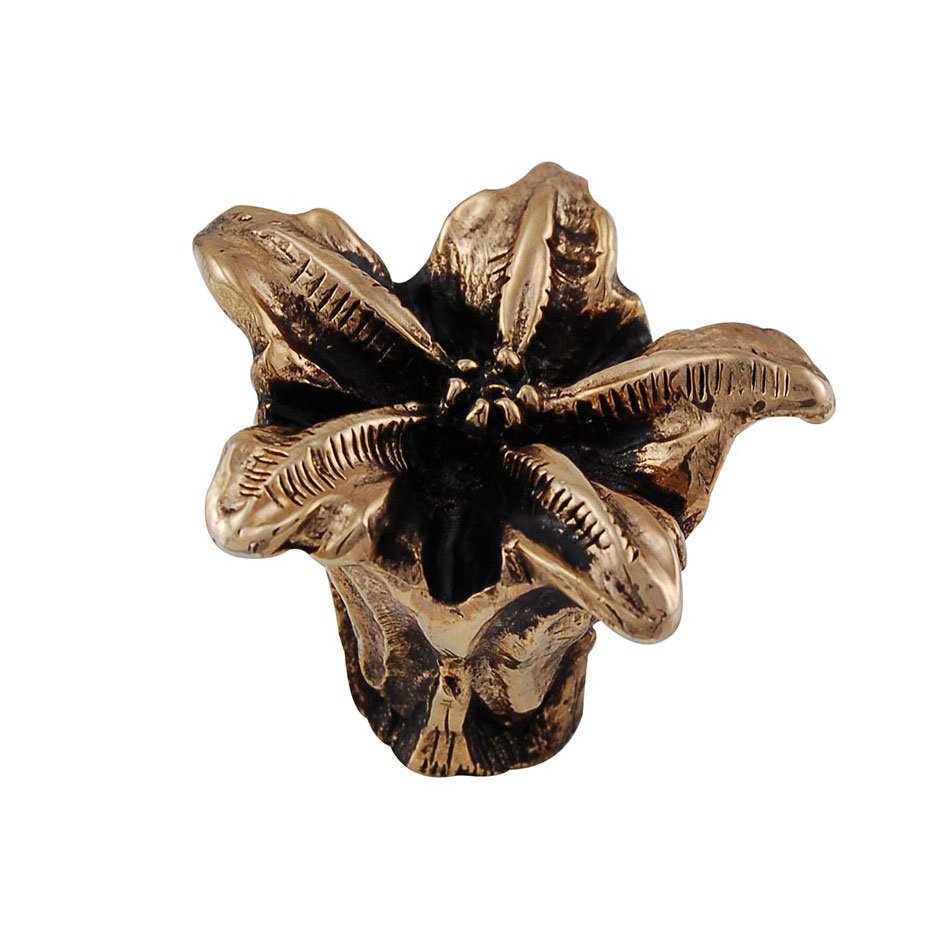 Vicenza Hardware 1 1/2" Lily Knob in Antique Gold