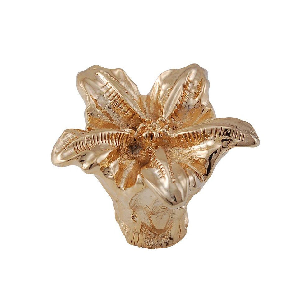 Vicenza Hardware 1 1/2" Lily Knob in Polished Gold