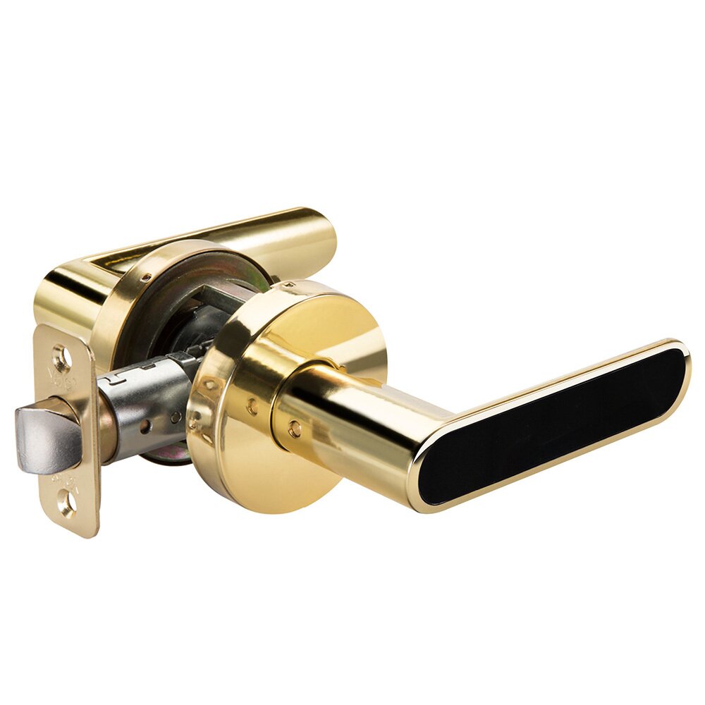 Yale Hardware Passage Kincaid Lever with Black Insert in Polished Brass