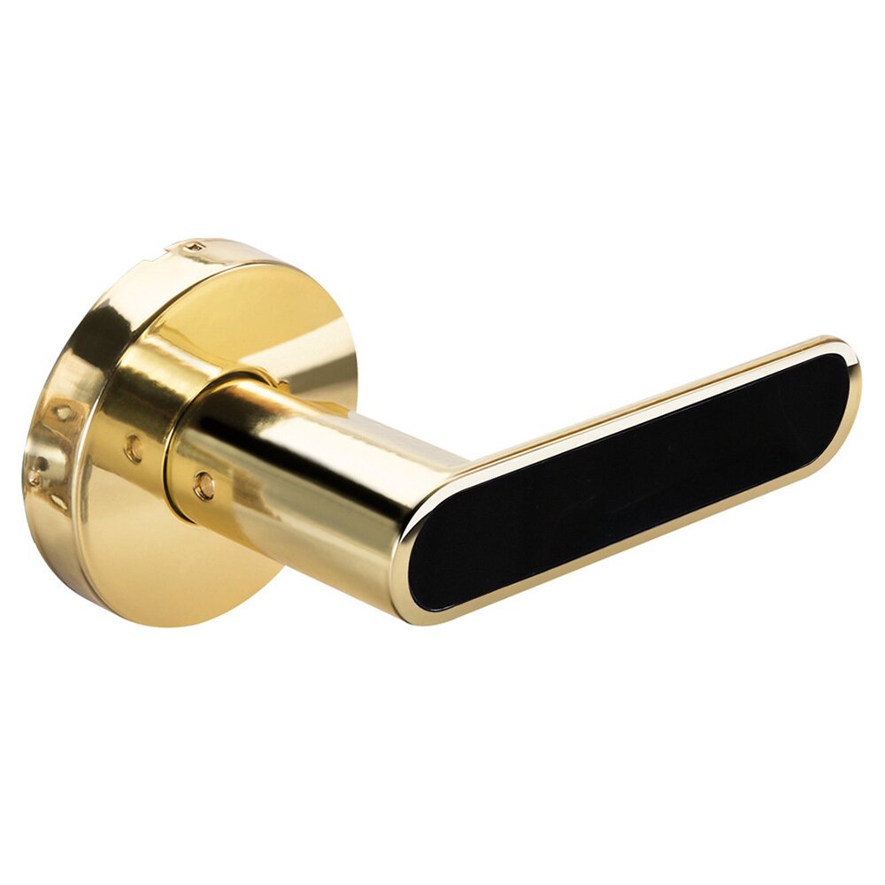 Yale Hardware Single Dummy Kincaid Lever with Black Insert in Polished Brass