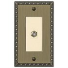 Single Cable Wallplate in Brushed Brass