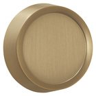 Dimmer Knob in Brushed Bronze