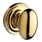Passage Door Knob with Traditional Round Rose in Polished Brass