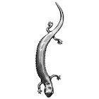 3" Centers Lizard Handle in Pewter
