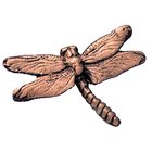 Dragonfly Knob in Satin