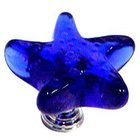 Colored Starfish in Clear Glass with Antique Brass Base