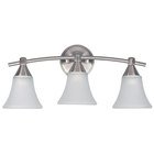Triple Bath Light in Brushed Pewter with White Flat Opal Glass
