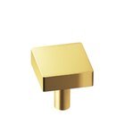 1" Square Knob/Shank in Frost Brass