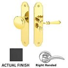 Right Hand Arch Style Screen Door Lock in Flat Black