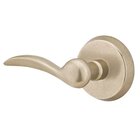 Passage Left Handed Durango Lever And #2 Rose with Concealed Screws in Tumbled White Bronze