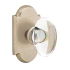 Hampton Privacy Door Knob with #1 Rose and Concealed Screws in Tumbled White Bronze