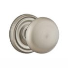 Double Dummy Providence Door Knob With Regular Rose in Pewter