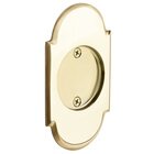 Tubular #8 Arch Dummy Pocket Door Hardware in Polished Brass