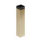5/8" Wall Mounted Door Stop in Satin Brass PVD