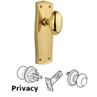 Privacy Prairie Plate with Homestead Door Knob in Polished Brass