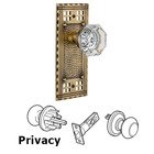 Privacy Craftsman Plate with Waldorf Knob in Antique Brass