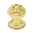 Egg And Dart Brass 1 3/8" Cabinet Knob with Rope Rose in Polished Brass