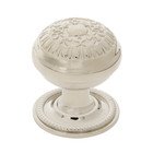 Egg And Dart Brass 1 3/8" Cabinet Knob with Rope Rose in Polished Nickel
