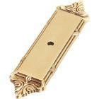 Solid Brass Antique Light Polish 4 1/4" x 1" Backplate