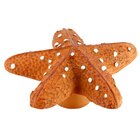 54 mm Long Starfish Knob in Coloured