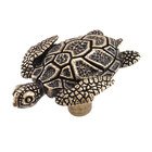 Turtle Knob in Antique Brass